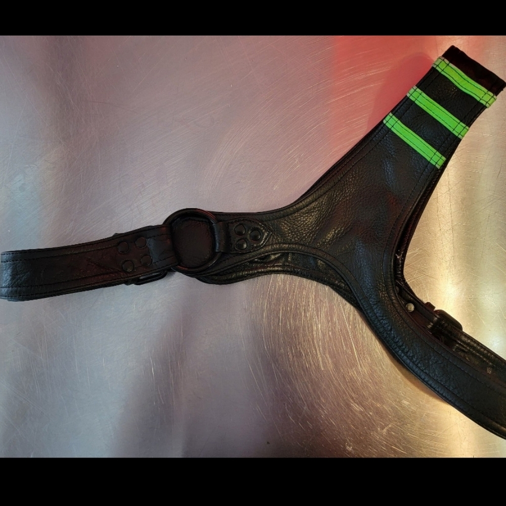 Rough Trade Leather Shoulder Harness